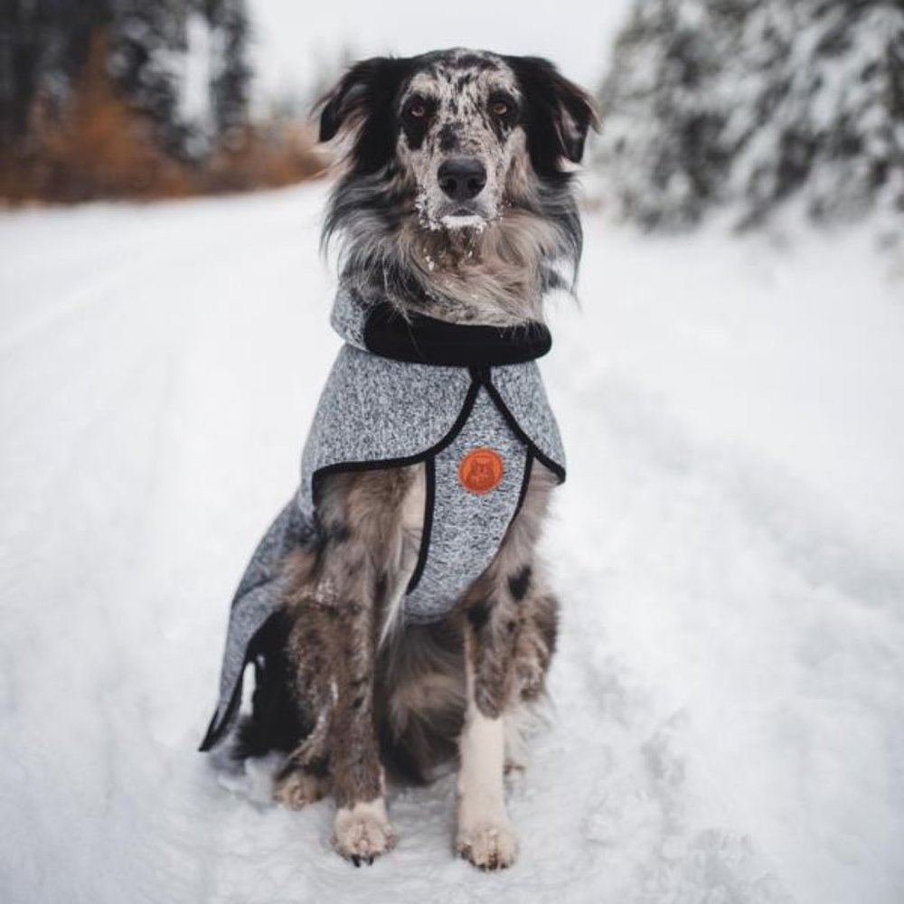 Wilderdog Fleece Jacket